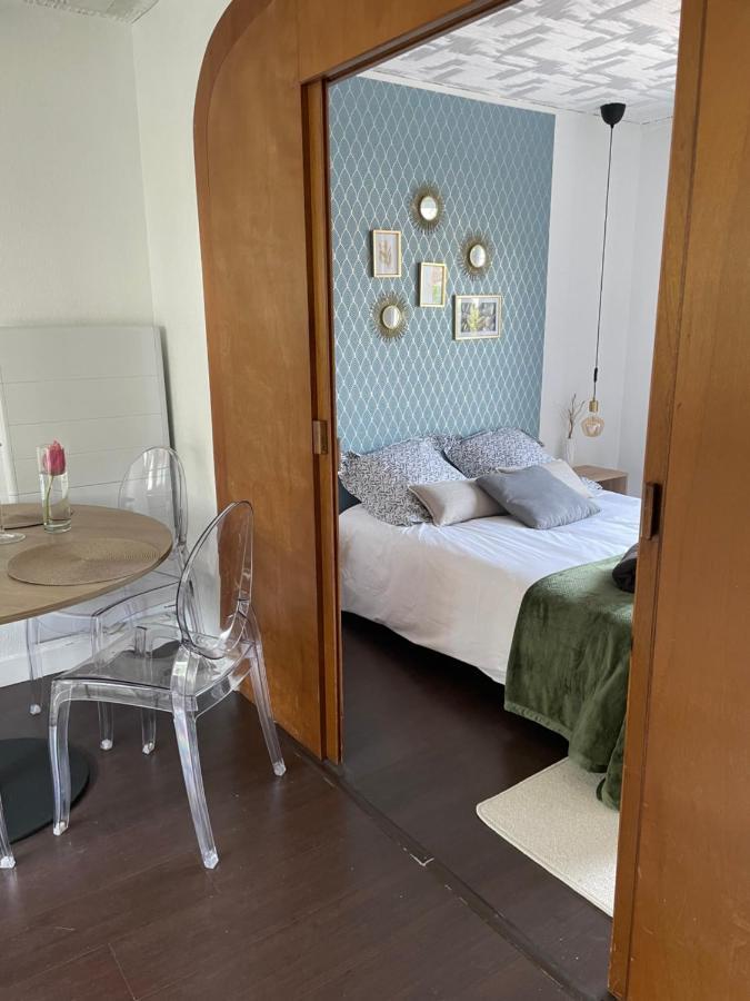 50 M2 T2 Au Calme, Lumineux, Confortable, Cosy, Climatise, Privatif Avec Parking Gratuit Et Terrasse Тулуза Екстериор снимка